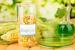 Hedge End biofuel availability